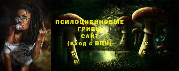 гашик Баксан
