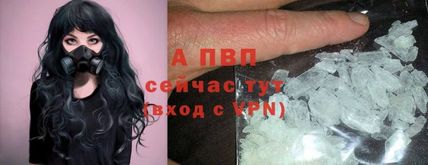 гашик Баксан