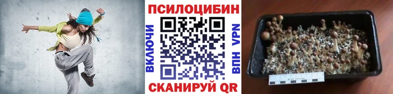 Псилоцибиновые грибы мухоморы  наркота  Астрахань 